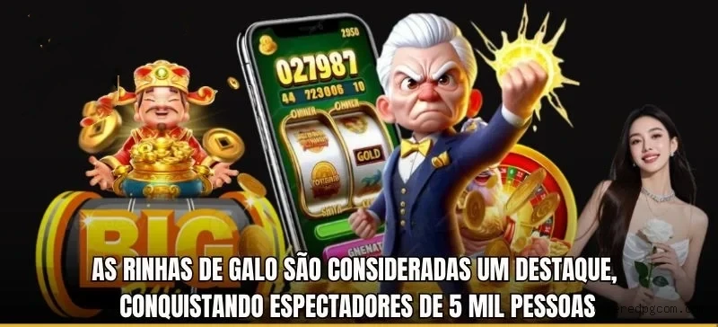 Sobre Taperedpg.com
